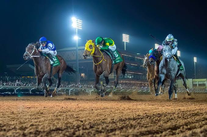 نادي سباقات الخيل يختتم موسم الرياض بمنافسات قوية على كأس ميدان الملك عبدالعزيز