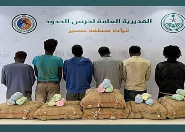 حرس الحدود بمنطقة عسير يقبض على 6 مخالفين لنظام أمن الحدود لتهريبهم 225 كيلوجرامًا من نبات القات المخدر