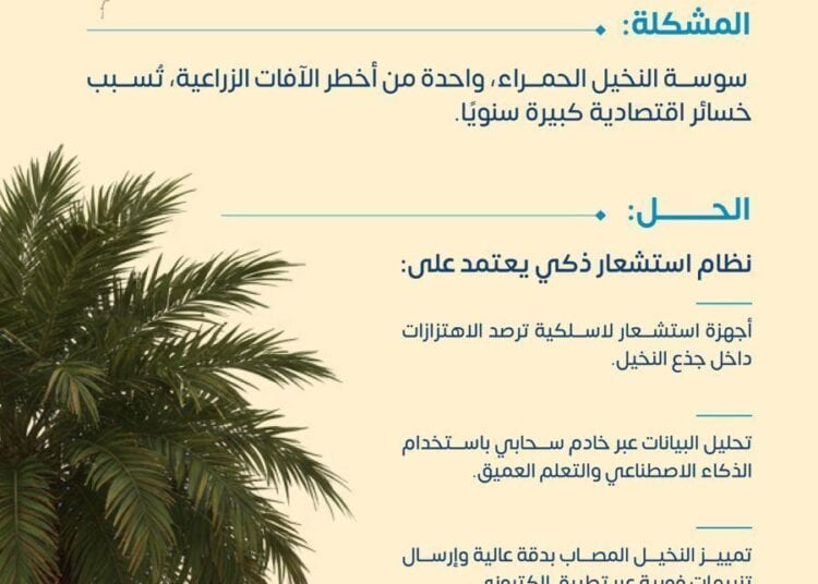 جامعة الأمير سلطان تحصد براءة اختراع للكشف المبكر عن سوسة النخيل الحمراء باستخدام الذكاء الاصطناعي