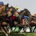العاصمة السعودية تستضيف حدث عالمي.. الرياض تحتضن المؤتمر الآسيوي لسباقات الخيل