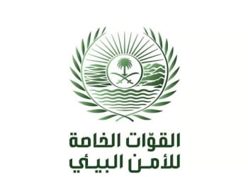 غرامة 32 ألف ريال للمتر.. ضبط مواطن بحوزته حطب محلي بالمدينة المنورة