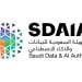 خطوة نحو الريادة العالمية.. تدريب مليون مواطن سعودي على الذكاء الاصطناعي.. هل ترغب في التسجيل؟