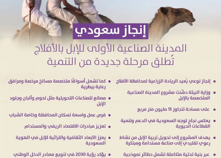 انفوجراف.. 10 معلومات عن إطلاق المدينة الصناعية الأولى للإبل بالأفلاج مرحلة جديدة من التنمية