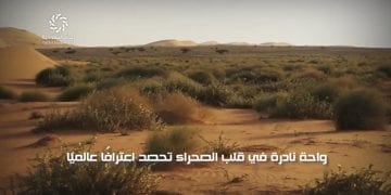 محمية سعودية تدخل قائمة النخبة البيئية عالميًا.. ما السر؟