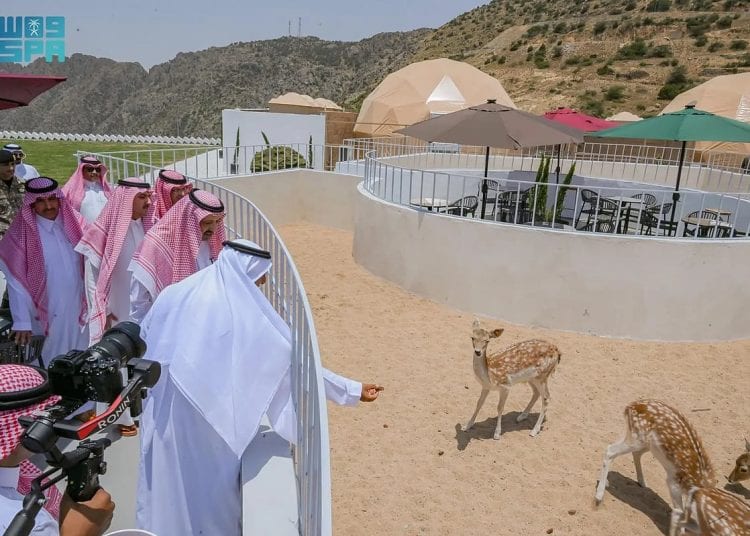 دعم مستمر للتنمية السياحية وتمكين المبادرات النوعية
