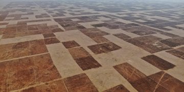 انتهاء فترة الانتفاع بالأراضي البعلية الموسمية وبدء إخلائها استعدادًا للموسم الزراعي الجديد