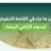 رسوم الأراضي البيضاء| وزارة الشؤون البلدية والإسكان تعتمد اللائحة التنفيذية