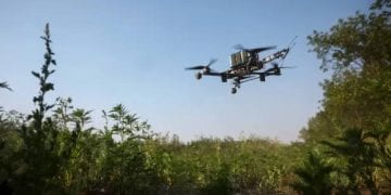 طائرة مسيرة تحلق فوق منطقة في تايلاند.