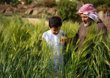 مزارع عسير الجبلية.. سياحة خضراء تتنفس بين الغيوم