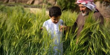 رجل وطفل يقفون وسط مناظر طبيعية لمزارع عسير وسط الجبال والضباب والأجواء المعتدلة.