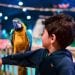 أكثر من 7,500 م² من المغامرة.. غابة العجائب تنقل موسم جدة لعالم جديد