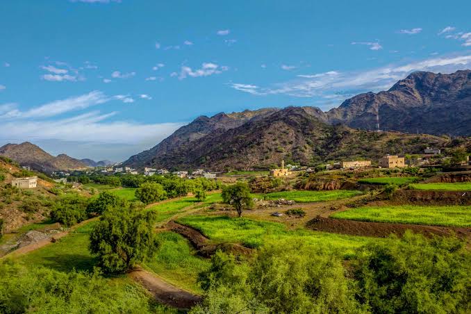 عسير تتألق في 2024 وتبرز كوجهة رائدة للسياحة الثقافية بفضل فعالياتها المتنوعة