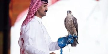 صقور