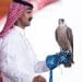 صقور