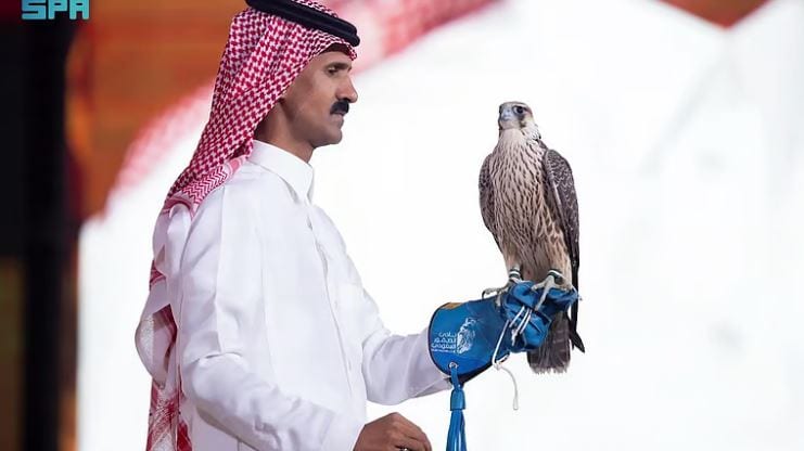 صقور