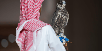 صقرين