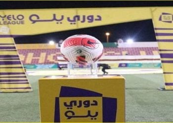 دوري الدرجة الأولى للمحترفين