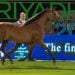 الخيل