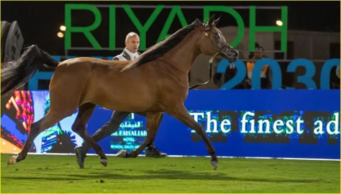 الخيل