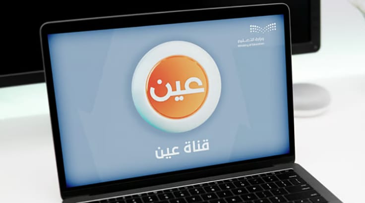 قناة عين