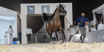 الخيل
