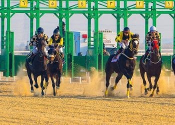 سباق الخيل