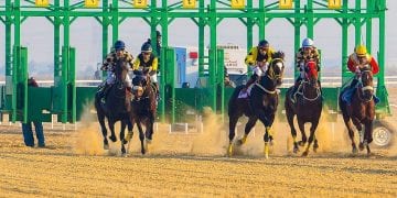 سباق الخيل