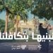 القطاع غير الربحي