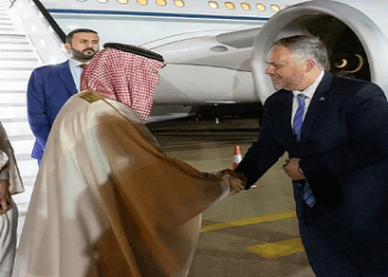 وزير الخارجية يصل جوهانسبرغ