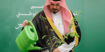 البرنامج الوطني للتشجير