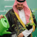 البرنامج الوطني للتشجير