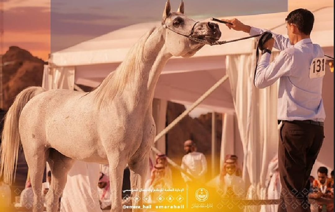الخيل