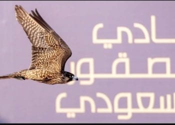 كأس نادي الصقور السعودي 2025