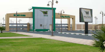 جامعة بيشة