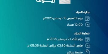 مزاد ريوف