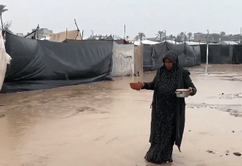 فيديو.. الأسر النازحة في قطاع غزة: الدعم السعودي السند الحقيقي لتخفيف المعاناة