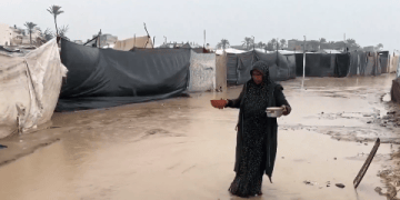 فيديو.. الأسر النازحة في قطاع غزة: الدعم السعودي السند الحقيقي لتخفيف المعاناة