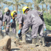مركز الملك سلمان للإغاثة