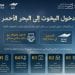 «الهيئة السعودية للبحر الأحمر» تطلق الدليل التعريفي للأنشطة السياحية الساحلية