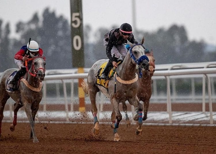 الخيل