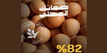 بيض المائدة