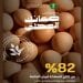 بيض المائدة