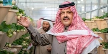 أمير حائل يدشن أول إنتاج للفراولة البيضاء في المملكة ويطلق الموسم السابع لحديقة فراولة حائل
