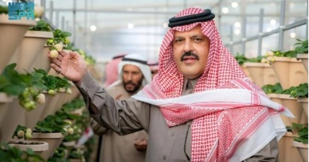 أمير حائل