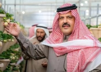 أمير حائل