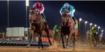 مسرح عالمي للفروسية، الرياض تسرق الأضواء مجددا بكأس السعودية 2026
