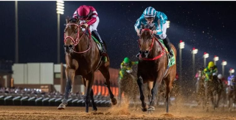 مسرح عالمي للفروسية، الرياض تسرق الأضواء مجددا بكأس السعودية 2026