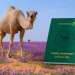 كيف يساهم “جواز سفر الإبل” في توثيق الهوية وتحسين الخدمات بالسعودية؟