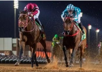 مسرح عالمي للفروسية، الرياض تسرق الأضواء مجددا بكأس السعودية 2026