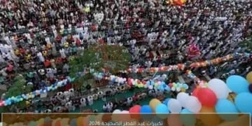 أسعار النفط